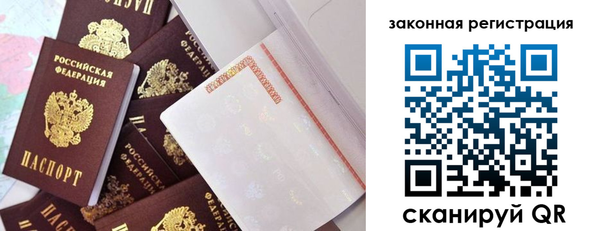 где прописаться в Кингисеппе